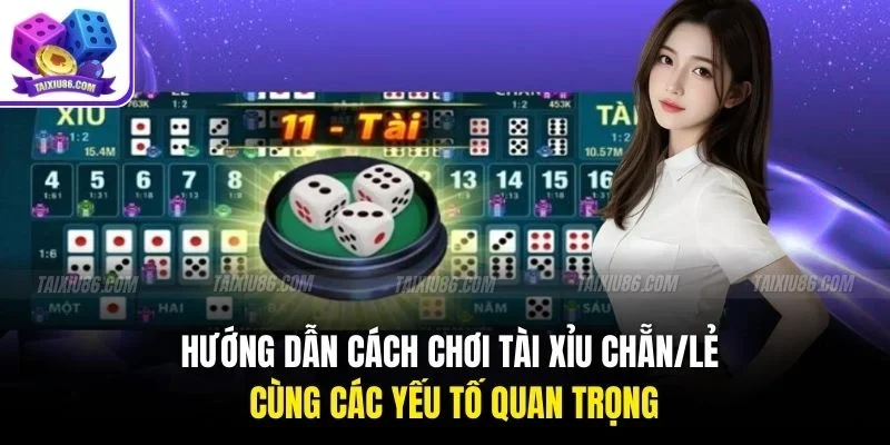 Hướng dẫn cách chơi tài xỉu chẵn/lẻ cùng các yếu tố quan trọng